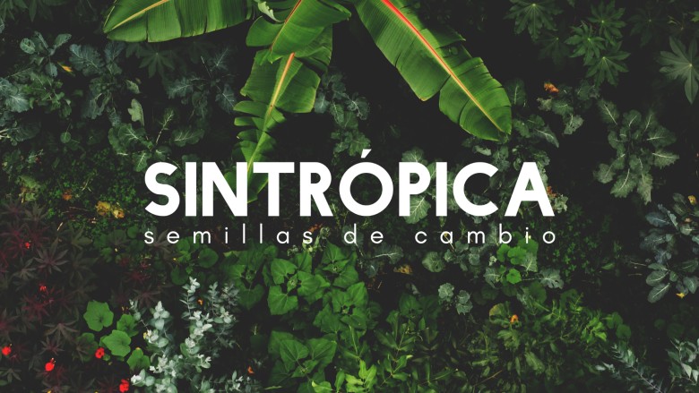 banner-sintropica-1.jpg