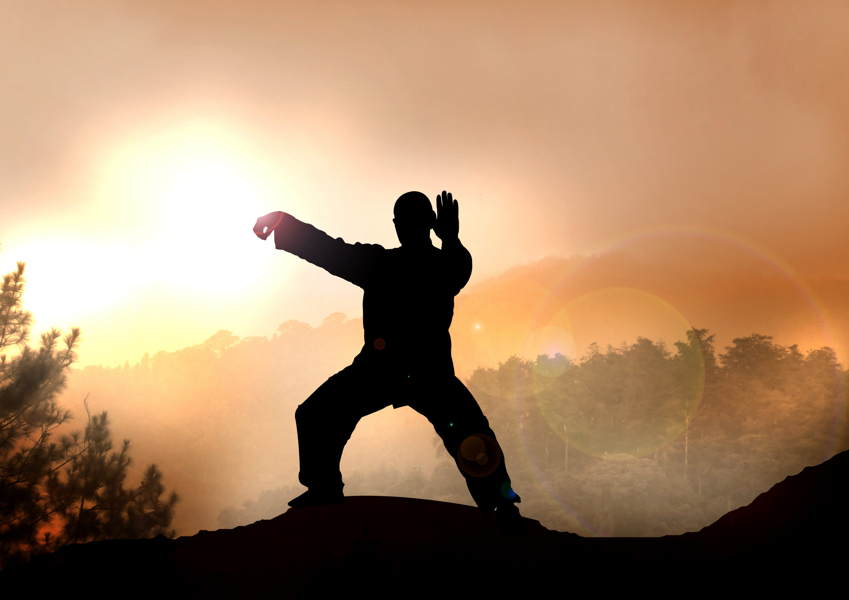 Qigong-Sunset-Man-Facing-Back-Medical-Qigong-Practitioner-Program-Back-of-Postcard-scaled.jpeg