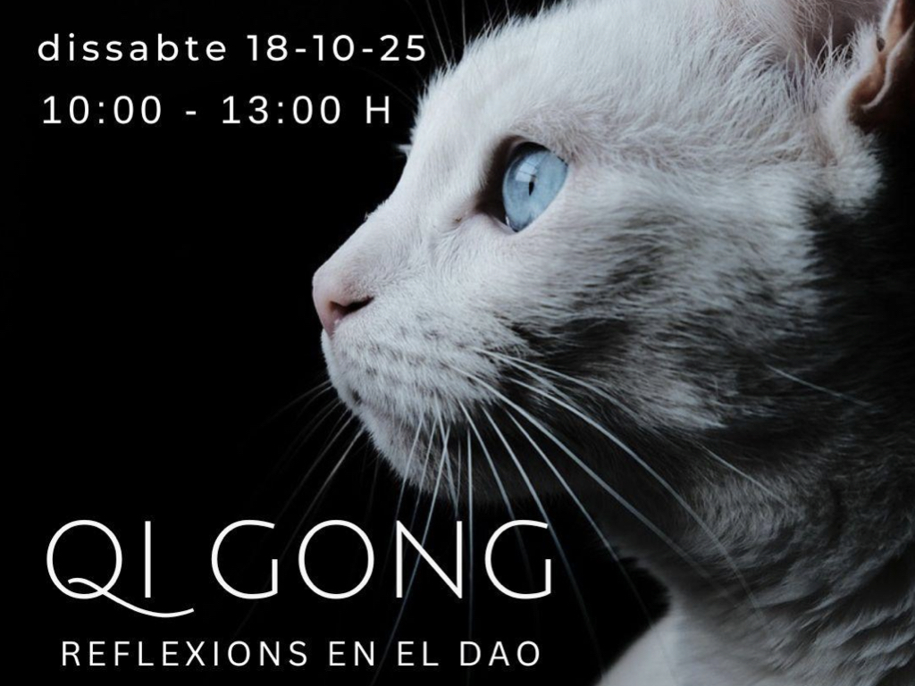 qi_gong.001.jpeg